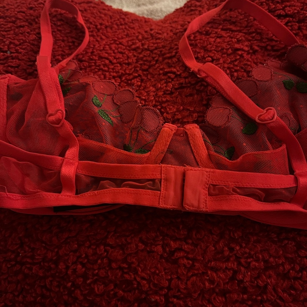 For Love And Lemons Red Cherry Embroidered Bra - Picture 4 of 6